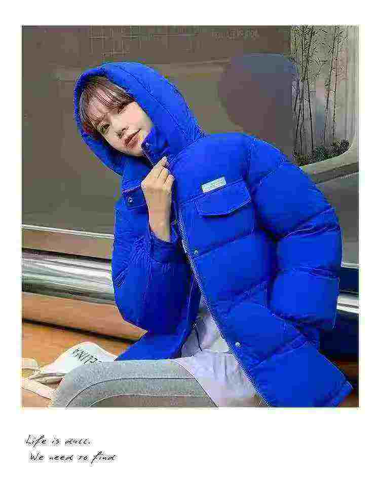 2259 Pieces Klein Blue Thickened Short Women's Padded Cotton Jacket - Image 4