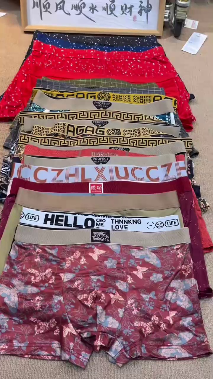 Men's Boxer Briefs About 1300 Pieces Clearance Wholesale - Image 1