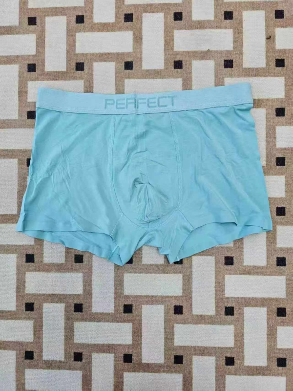 ۱۰۰۰ عدد شورت باکسر مردانه، سایز L تا 3XL، پارچه مودال - Image 1