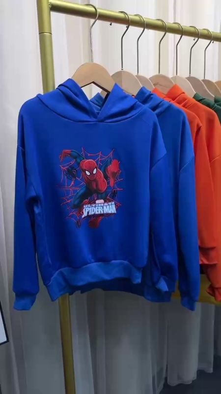 3300 Pcs Boys & Girls Kids Hooded Sweatshirts - Image 1