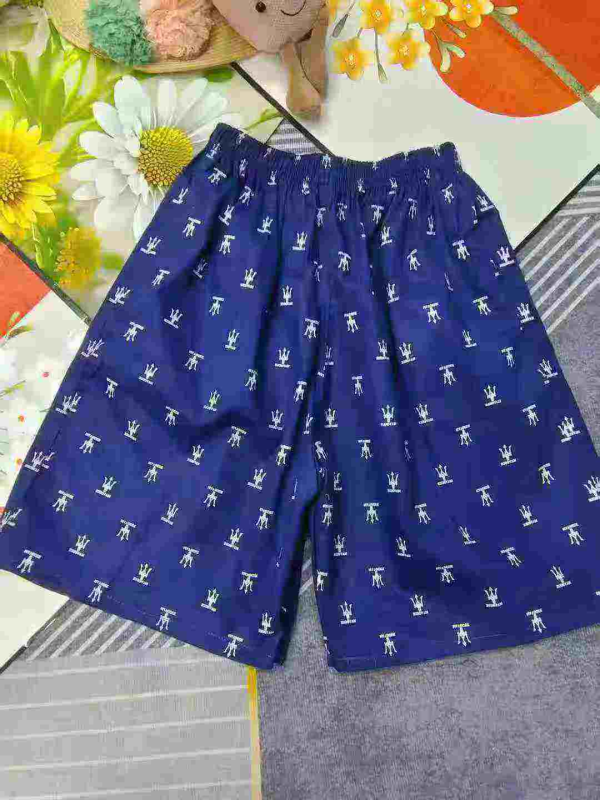 2800 Pcs Summer Thin Men's Loose Plaid Cargo Casual Shorts One Size Individual Pack - Image 1