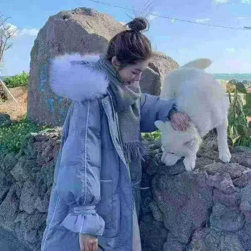 ۱۵۰۰ عدد کاپشن لحاف‌دار متوسط بلند زنانه زمستانی ضخیم شده سایز بزرگ حراج جدید - Image 3
