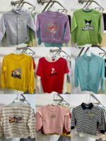 Spring Non-Fleece Kids Sweatshirts & Long Sleeve T-shirts | 250pcs Bulk Chinese Clothing Stock Lots Wholesale Export - Image 7