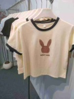 1451 Pieces Women's Patchwork Cotton Summer Short Sleeve Cropped T-Shirts Bulk Stock - Image 3