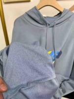 Bulk Clearance 400PCS Autumn Winter Thin Cotton Sweet Loose Hooded Sweatshirts Sizes M-2XL 2 Colors Individual Pack - Image 4