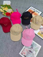 Clearance Bulk Wholesale: 747 Pieces Trendy Adjustable Casual Baseball Caps - Image 2