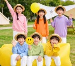 305 Pieces Spring 100% Cotton Mostly Fleece Lined Kids Hoodies Wholesale Stock Lot - Image 8