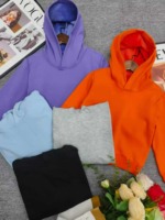305 Pieces Spring 100% Cotton Mostly Fleece Lined Kids Hoodies Wholesale Stock Lot - Image 3