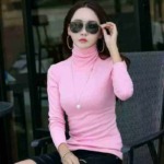 2829 Pieces Women's Solid Turtleneck Slim Fit Long Sleeve Base Layering Tops Wholesale Stock Clothing - Image 1