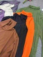 2829 Pieces Women's Solid Turtleneck Slim Fit Long Sleeve Base Layering Tops Wholesale Stock Clothing - Image 4