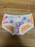 22260 Pieces Women's Panties Bulk Stock Clearance Wholesale - Image 8