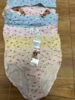 22260 Pieces Women's Panties Bulk Stock Clearance Wholesale - Image 3