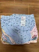 22260 Pieces Women's Panties Bulk Stock Clearance Wholesale - Image 2