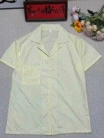 Korean Style Loose Relaxed Versatile Women's Short Sleeve Shirts, 180 Pieces Total Stock For Wholesale - Image 1