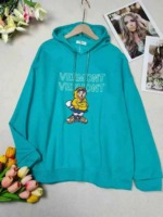 68 Pieces Women's Hooded Sweatshirts | Individually Packed Clearance Stock Wholesale - Image 8