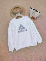 Clearance 202 Pcs Heavy Embroidered Cotton Casual Crew Neck Sweatshirts (90 Plain), Wholesale Stock Lot - Image 8