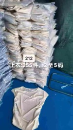 Minimalist Flutter Short Sleeve T-shirts - 212 Pieces Bulk Stock Clearance - Image 2