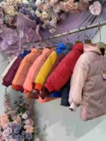 2000 Pcs Assorted Fleece Thickened Winter Kids Cotton Outerwear For 2-8 Years Boys Girls Clearance - Image 2