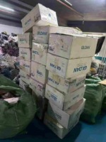 New Arrival 1000 Pieces Plain Blank T-Shirts, 4 Colors, Sizes M-4XL, Clean Carton Packed Stock - Image 1