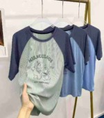 Loose Plus Size Ice Silk Printed Short Sleeve T-shirts, Total 1165 Pieces, 10 Pieces Per Pack - Image 8