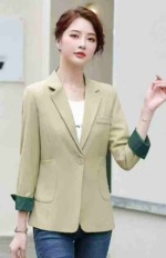 2025 Korean Style High-end Petite Blazers, 893 Pieces Total, 4 Colors, Sizes S-4XL, Individual Packaging - Image 9