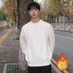 9000 Pcs Men's Sweaters | Recent New Styles Tmall Overstock | Fleece & Non-Fleece Optional | Full Bulk Clearance Wholesale - Image 2