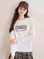 Approx 2300 Pcs Brand Cut-label Loose Embroidered American Letter Cotton Crewneck Sweatshirts Size M-XL, Bulk Stock Wholesale - Image 7