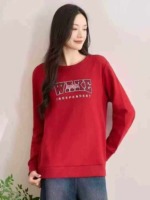 Approx 2300 Pcs Brand Cut-label Loose Embroidered American Letter Cotton Crewneck Sweatshirts Size M-XL, Bulk Stock Wholesale - Image 5