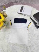 805 Pieces Kids Collared Short Sleeve Tops, 3 Button Colors, Sizes 2-4-6, Individual Packing Clearance Wholesale Stock - Image 3