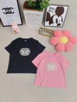 Sexy Women's Embroidered T-Shirts Around 220 Pieces Bulk Stock Wholesale Clearance - Image 1