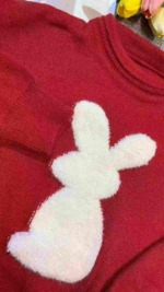 Bulk Clearance Sweet Red Pullover Sweater One Size - About 185 Pieces - Image 8