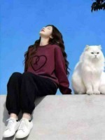 Clearance Women Hoodies Total 7497 Pieces Sizes S-M-L-XL-2XL With Individual Packaging For Bulk Wholesale - Image 1