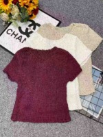 190 Pcs New Spring Summer Korean Style Hollow Out Cropped Knit Tops Bulk Stock Clearance - Image 8