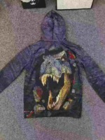 Bulk Clearance About 1700 Pieces Kids Solid Color Hooded Sweatshirts With Pockets - Image 3