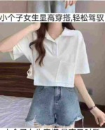 Korean College Style Turn-down Collar Women Tops, 2 Colors, Size M-2XL, Around 380 Pcs Bulk Stock - Image 8