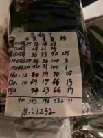 900 Pieces Unisex Older Kids 95% Cotton Plain T-Shirts Bulk Stock For Wholesale - Image 2