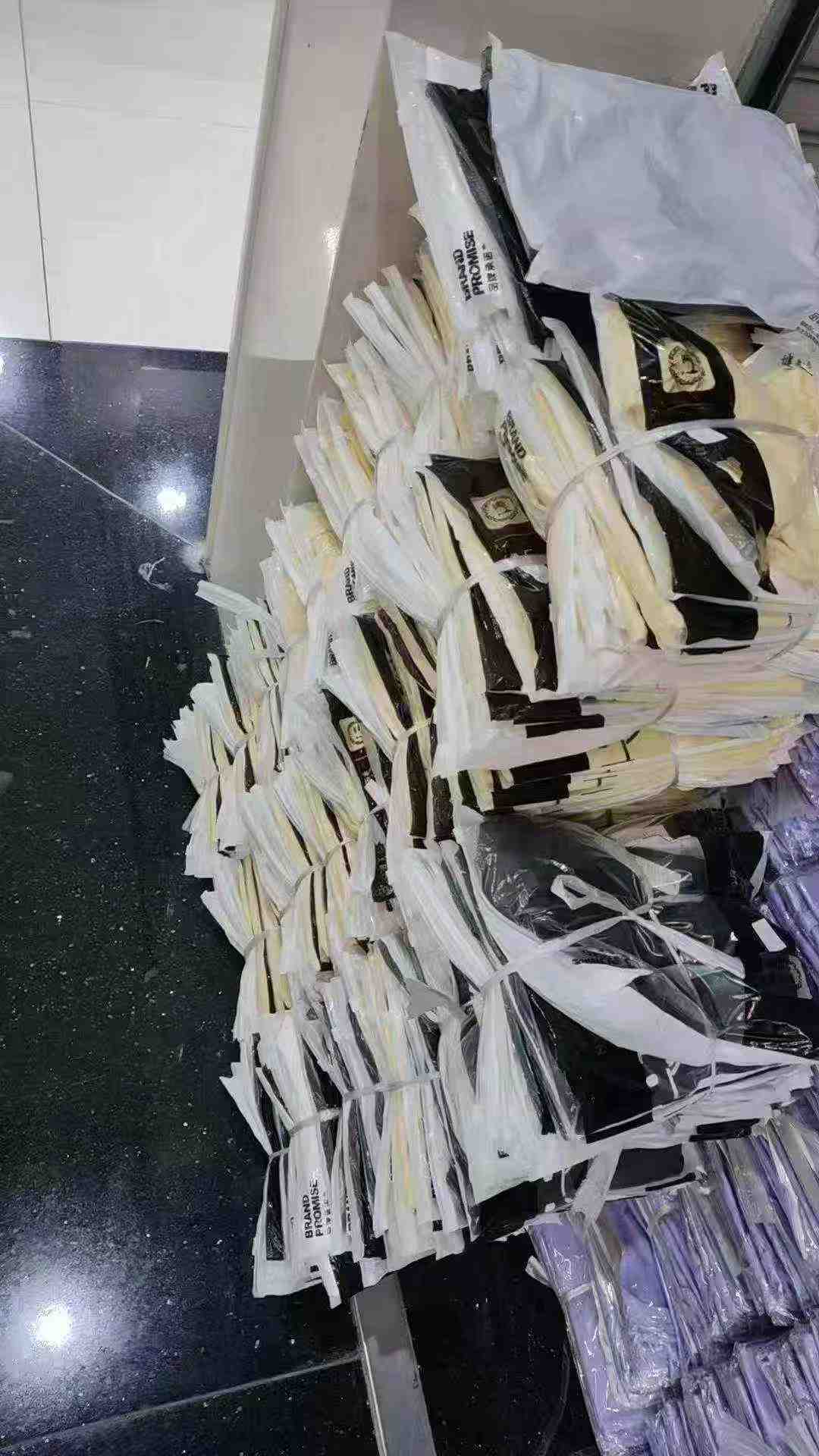 Clearance Stock: 145 Pieces Summer V-Neck Cat Print Regular Shoulder Short Sleeve T-Shirts, 2 Colors, Individually Packed - Image 2