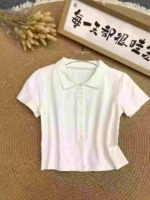 55 Pieces Cotton Sexy POLO Collar Short Sleeve T-Shirts Stock Clearance Wholesale - Image 1