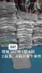 247 Pcs Sexy Buttoned Short Sleeve T-Shirts Bulk - Image 2