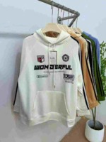 American Retro Street Style 3-Stripe Oversized Cotton Terry Unisex Hoodies 4247pcs Bulk Stock Clearance - Image 3