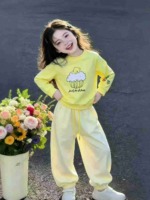 Clearance 516 Sets Kids Casual Sports Cotton Two-piece Set Size 100-140 Individual Packing - Image 9