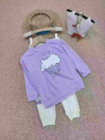 Clearance 516 Sets Kids Casual Sports Cotton Two-piece Set Size 100-140 Individual Packing - Image 7