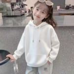 305 Pieces Spring 100% Cotton Mostly Fleece Lined Kids Hoodies Wholesale Stock Lot - Image 5