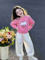 Clearance 516 Sets Kids Casual Sports Cotton Two-piece Set Size 100-140 Individual Packing - Image 8