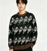 Autumn Winter New European Style Letter Jacquard Thickened Unisex Crewneck Pullover Sweater 190PCS - Image 7