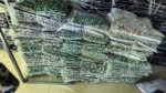 New Summer Vintage Floral Dresses, Approximately 160 Pieces, Bulk Stock Clearance Wholesale - Image 3