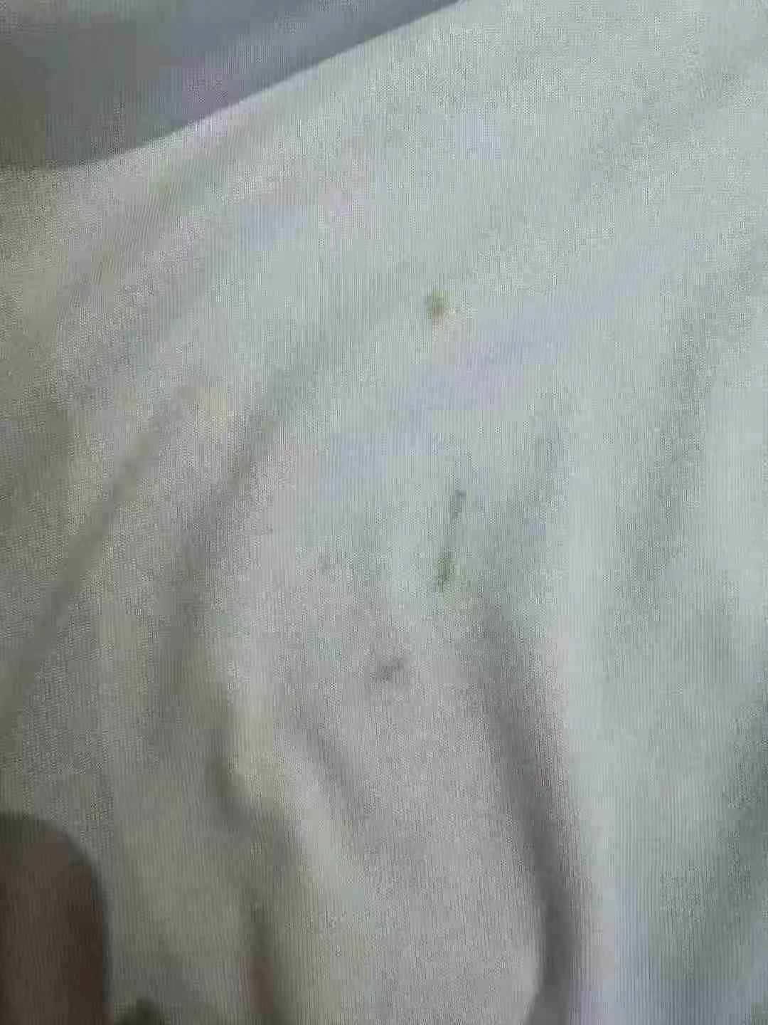 22000 Pieces Summer Brushed Milk Silk Plain White Unisex Short Sleeve T-Shirts Stock Lot - Image 2