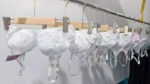 33000 Pieces Breathable Wire-free Adjustable Strap Women's Bra Spring Summer Thin Cotton Lined Stock Lot - Image 1