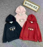 456 Pieces Kids Cotton Embroidered Hooded Sweatshirts Fleece Option Mixed Sizes 90-140 Wholesale Stock Lot - Image 1