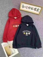 456 Pieces Kids Cotton Embroidered Hooded Sweatshirts Fleece Option Mixed Sizes 90-140 Wholesale Stock Lot - Image 9